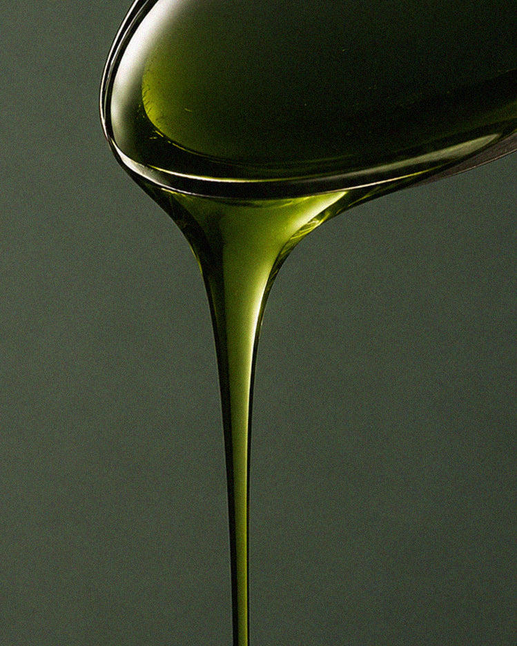 Green Tea Extract