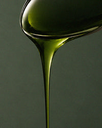 Green Tea Extract