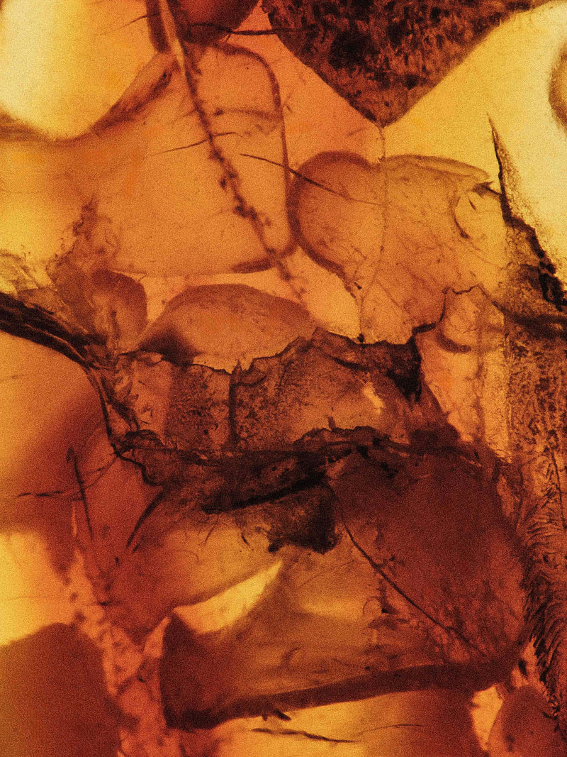 Hagi's Pflegepalette